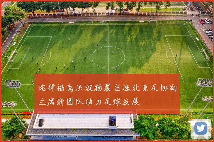 沈祥福高洪波杨晨当选北京足协副主席新团队助力足球发展