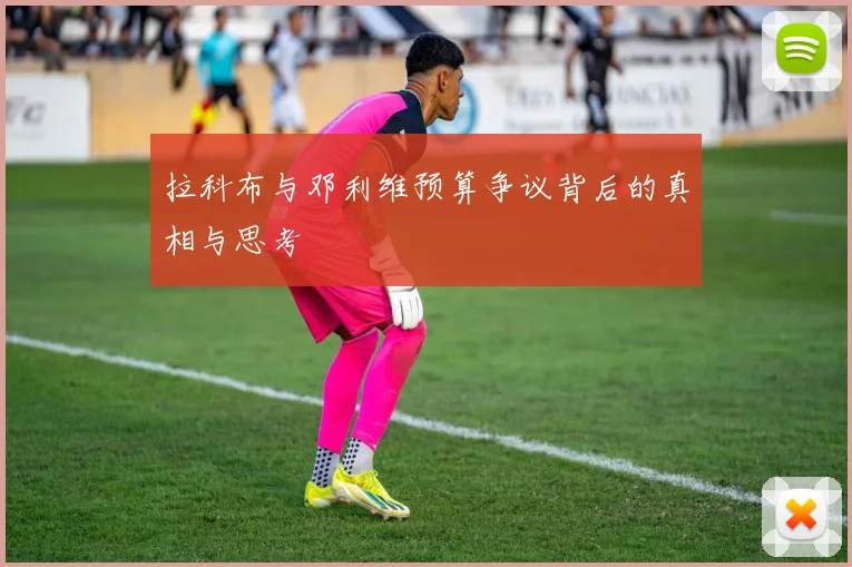 拉科布与邓利维预算争议背后的真相与思考